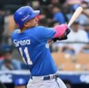 Hernández y Valdez lideran la victoria del Licey